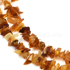 Natural Amber Chip Beads Strands&nbsp;X-G-E271-81-01