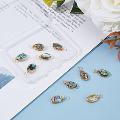 10Pcs Copper Wired Natural Abalone Shell/Paua Shell Pendants&nbsp;PALLOY-FI00001