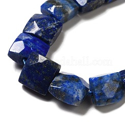 Natural Lapis Lazuli Beads Strands&nbsp;G-G980-08