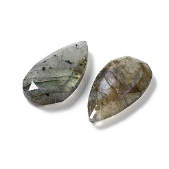 Natural Labradorite Faceted Pendants&nbsp;G-D082-01B