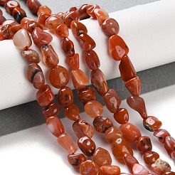 Natural South Red Agate Beads Strands&nbsp;G-P497-01C-06