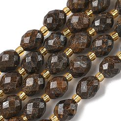 Natural Bronzite Beads Strands&nbsp;G-F809-A07-01