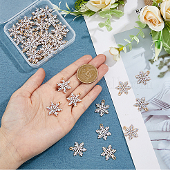 40Pcs Alloy Rhinestone Pendants&nbsp;ALRI-DC0001-06