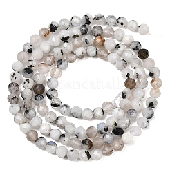 Natural Rainbow Moonstone Beads Strands&nbsp;G-B175-D24-3mm