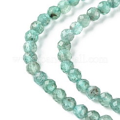Natural Apatite Beads Strands&nbsp;G-F748-J01-02