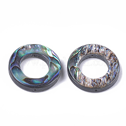 Abalone Shell/Paua Shell Bead Frames&nbsp;SSHEL-T008-17