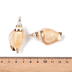 Natural Conch Shell Big Pendants&nbsp;SSHEL-N038-27