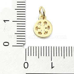 Brass Pendants&nbsp;KK-H475-32G