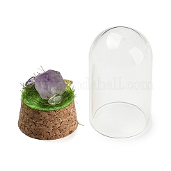 Natural Amethyst Nuggets Display Decoration with Glass Dome Cloche Cover&nbsp;DJEW-B009-03E