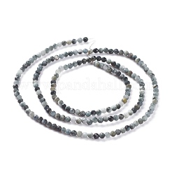 Natural Eagle Eye Stone Beads Strands&nbsp;G-A026-A02-2mm