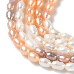 Natural Cultured Freshwater Pearl Beads Strands&nbsp;PEAR-C004-14B