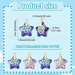 20Pcs 2 Colors Electroplate Glass Pendants&nbsp;GLAA-YW0004-53