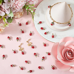 30Pcs Zinc Alloy Enamel Pendants&nbsp;FIND-SC0020-62
