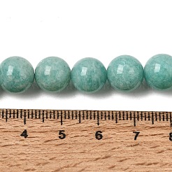 Natural Amazonite Bead Strands&nbsp;G-P204-02-10mm
