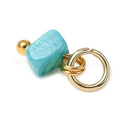 Dyed Natural Freshwater Shell Nuggets Charms&nbsp;PALLOY-JF04375-01