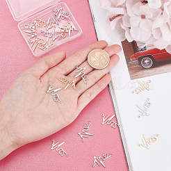 20Pcs 2 Colors Alloy Rhinestone & Brass Links&nbsp;KK-PH0003-93