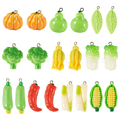 20Pcs 10 Styles Opaque Resin Pendants&nbsp;RESI-TA0005-37