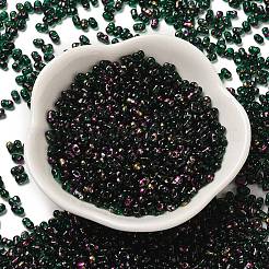 Spray Painted Glass Seed Beads&nbsp;SEED-F005-10A-05