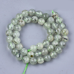 Natural Prehnite Beads Strands&nbsp;X-G-S333-8mm-032