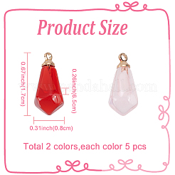10Pcs 2 Colors Transparent Resin Pendants&nbsp;RESI-FP0001-40
