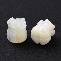 Natural Trochid Shell/Trochus Shell Beads&nbsp;SHEL-P014-01