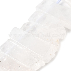 Natural Quartz Crystal Beads Strands&nbsp;G-S386-D01