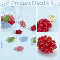 24Pcs 4 Colors Resin Pendants&nbsp;RESI-PH0002-30