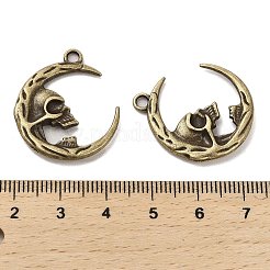 Tibetan Style Alloy Pendants&nbsp;FIND-C043-010AB
