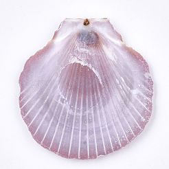 Shell Beads&nbsp;SSHEL-T005-07A