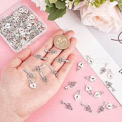 60Pcs Tibetan Style Alloy Pendants&nbsp;TIBE-CA0001-21