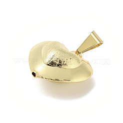 Rack Plating Brass Pendants&nbsp;KK-F869-02G-02