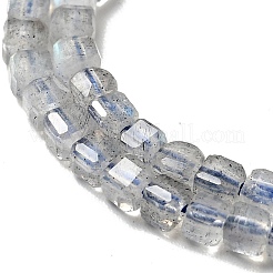 Natural Labradorite Beads Strands&nbsp;X-G-D470-07