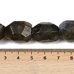 Natural Labradorite Beads Strands&nbsp;G-F796-C10-01