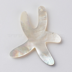 Sea Shell Pendants&nbsp;SSHEL-Q297-56