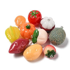 10Pcs 10 Style Resin Pendants&nbsp;RESI-YW0001-17