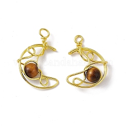 Natural Tiger Eye Pendants&nbsp;G-H281-41G-05