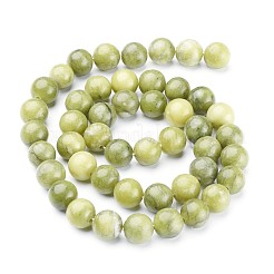 Natural Taiwan Jade Beads Strands&nbsp;X-GSR032