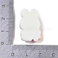 Christmas Theme Resin Cabochons&nbsp;RESI-H162-09B