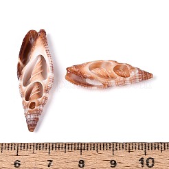 Natural Shell Pendants&nbsp;BSHE-T015-15