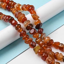 Natural Agate Beads Strands&nbsp;G-C039-F02