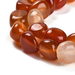 Natural Carnelian Beads Strands&nbsp;G-L595-B01-01
