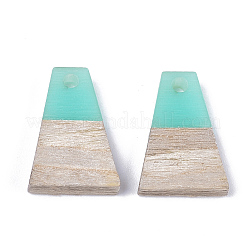 Resin & Wood Pendants&nbsp;LS-RESI-S358-52M