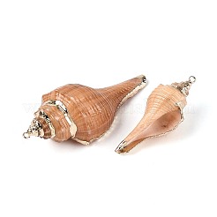 Electroplate Natural Conch Shell Big Pendants&nbsp;SSHEL-T018-06