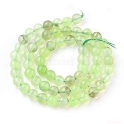 Natural Prehnite Beads Strands&nbsp;G-I250-01C