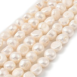 Natural Cultured Freshwater Pearl Beads Strands&nbsp;PEAR-P064-19L-05B