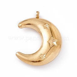 Ion Plating(IP) 304 Stainless Steel Pendants&nbsp;X-STAS-E173-01G