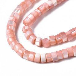 Natural Trochus Shell Beads Strands&nbsp;SHEL-S278-027H
