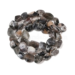 Natural Moonstone Beads Strands&nbsp;G-A284-A01-01