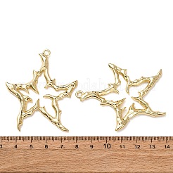 Alloy Big Pendants&nbsp;X1-FIND-Z095-10G