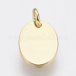 Brass Enamel Charms&nbsp;ZIRC-F083-026G-RS